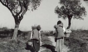 Las “Trementinaires” (Tre, mentineras)