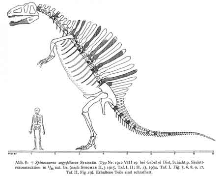 El paleontólogo Ernst Stromer