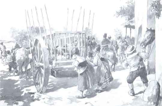 Don Quijote enjaulado sobre un carro de bueyes, José Jiménez Aranda. BIQ