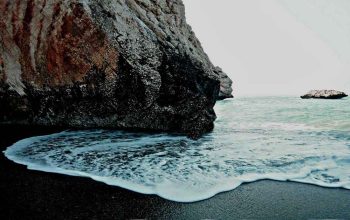 Las Rosas y las Ideas. Charla con Platón en una playa