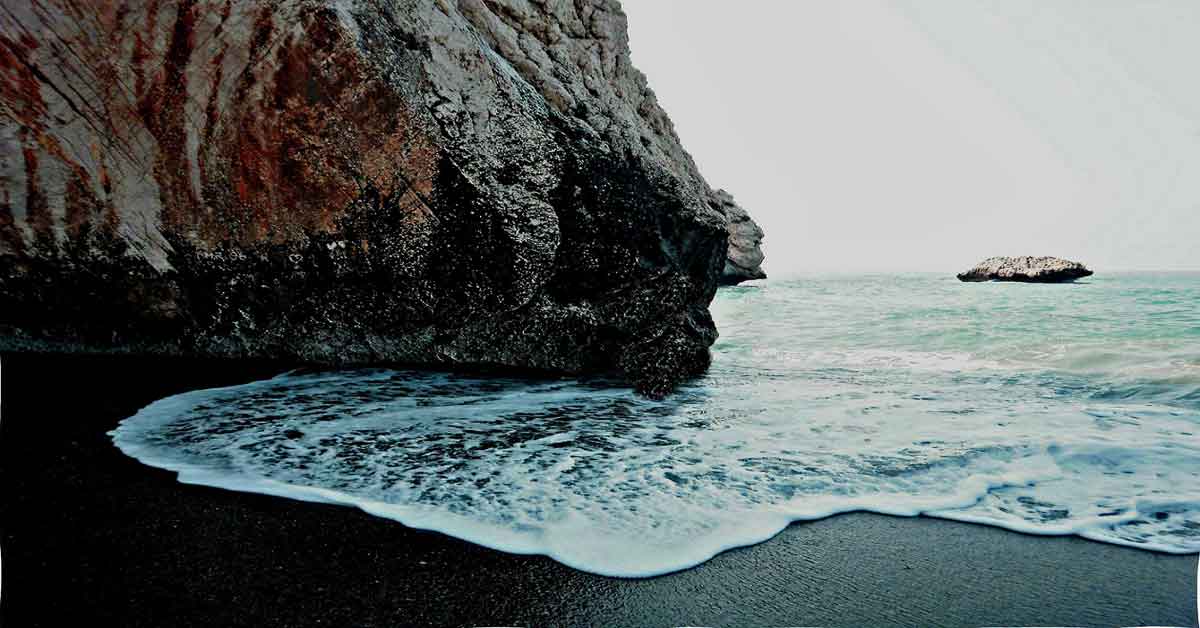 Las Rosas y las Ideas. Charla con Platón en una playa