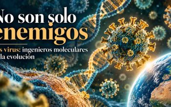 No son solo enemigos Los virus: ingenieros moleculares de la evolución